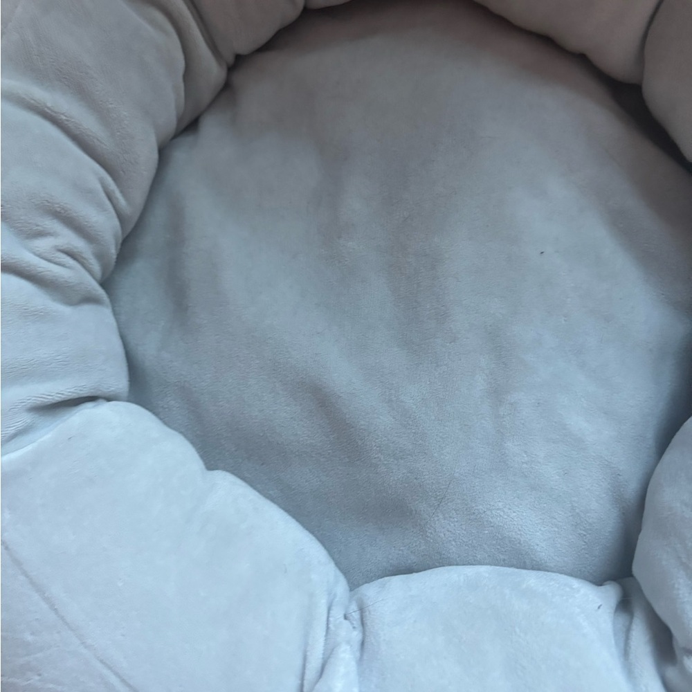 Gray Squishmallow pet bed: euc shows no sign of wear - Picture 4 of 4